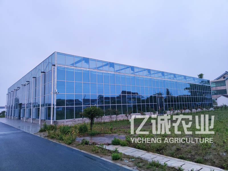 玻璃溫室工程建設(shè)